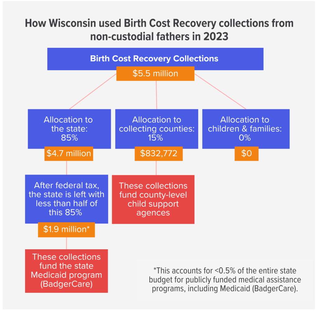 How Wisconsin used Birth Cost Recovery collections from non-custodial fathers in 2023