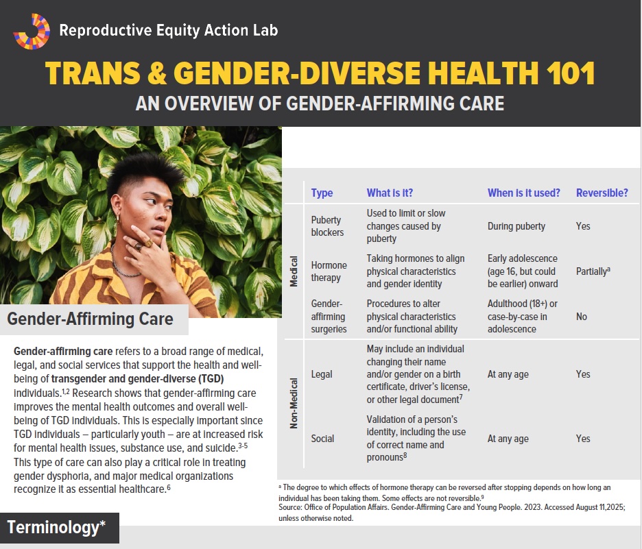 Snapshot of report cover